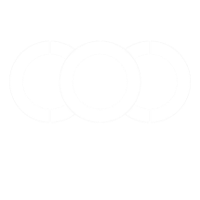 3 SING SPORT