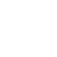 Fastspin