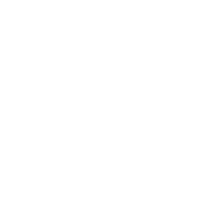 WS168 Cockfight